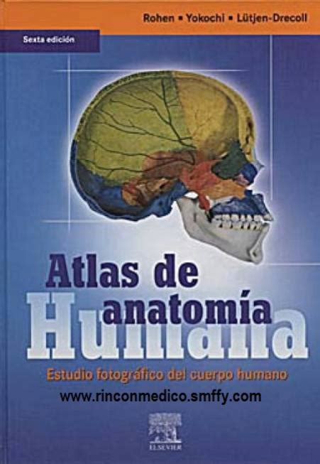 Pdf Atlas Anatomia Humana Estudio Fotogr Fico Del Cuerpo Humano