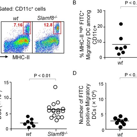 PDF Migration Of Myeloid Cells During Inflammation Is Differentially