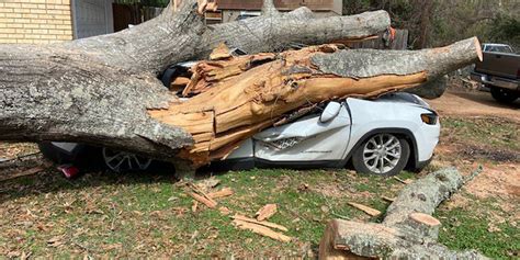 Massive Tree Crushes Car In Kilgore