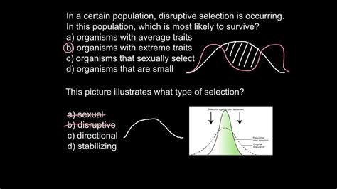 Disruptive Selection Definition