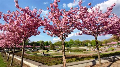 Park Cytadela W Poznaniu Myzwiedzamy