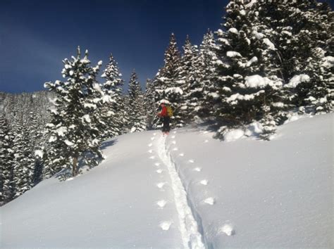 Backcountry Skiing On Pikes Peak With The Alpine School