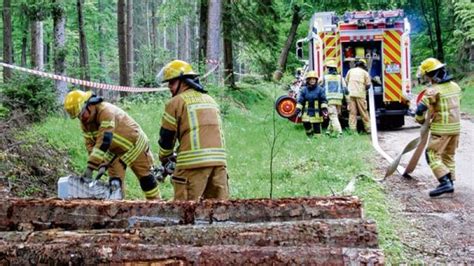 370 Wehrleute Im Wald SHZ