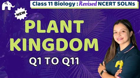 Plant Kingdom Class Biology Revised Ncert Solutions Chapter