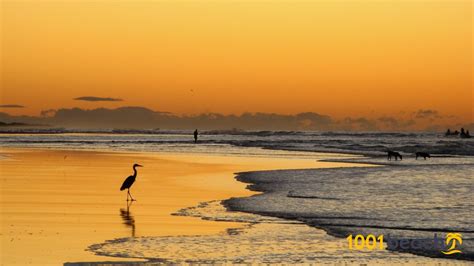 Playa El Cuco El Cuco Beach