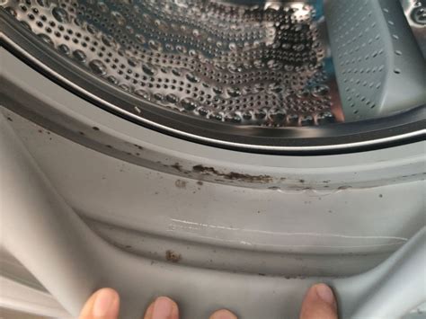 How To Clean Mold From Rubber Seal Of Front Load Washing Machine