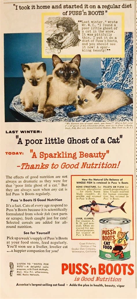 1950s Puss N Boots Cat Food Print Ad Siamese Kittens Photo Vintage Ebay