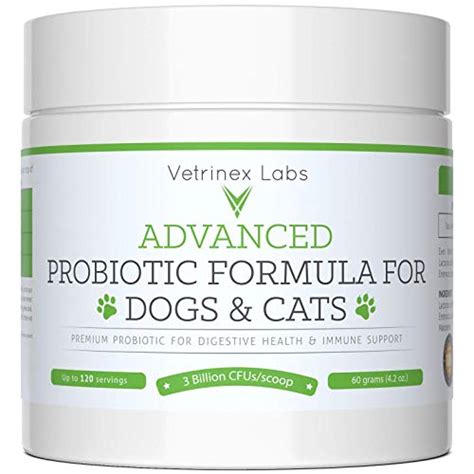 Best Probiotics For Dogs With Ibd - 10Reviewz