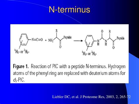 Ppt Quantitative Proteomics Powerpoint Presentation Free Download Id 4312290