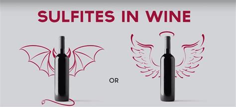 [VIDEO] Sulfites in Wine: Do They Cause Headache or Not?