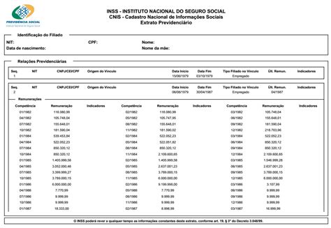 CNIS do INSS o que é para que serve como obter e como entender