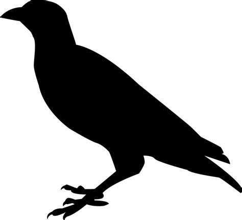 Raven Outline Drawing | Free download on ClipArtMag