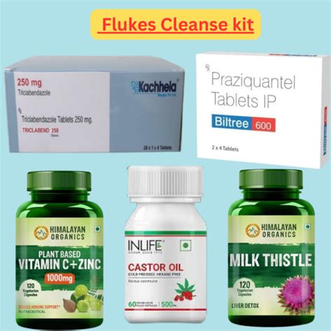 Flukes Cleanse Kit Skitesintl Buy Medicine Online Quick Delivery