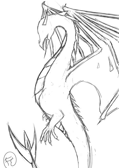 Wyvern Sketch By Fracturedepiphany On Deviantart