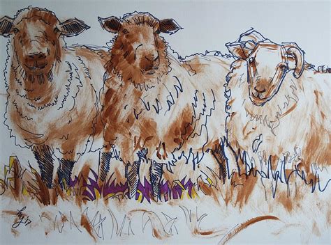 Sheep Drawing Mixed Media By Mike Jory Fine Art America