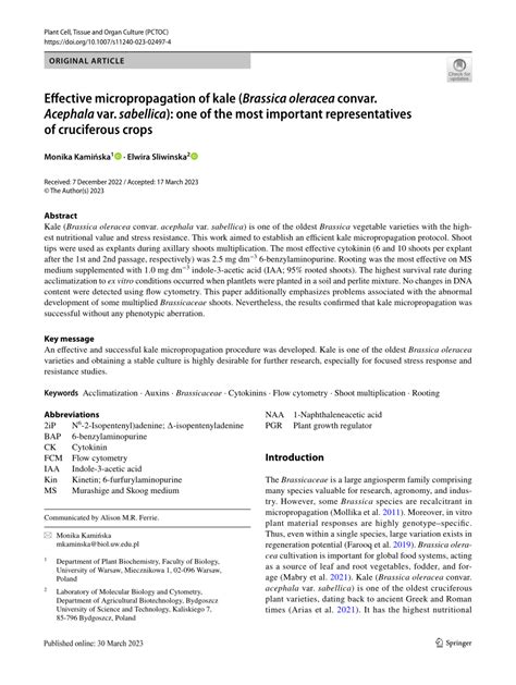 PDF Effective Micropropagation Of Kale Brassica Oleracea Convar