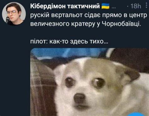 Что такое Чернобаевка, мемы про Чернобаевку - Memepedia