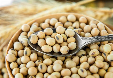 18 Surprising Facts About Soy Beans You Need To Know