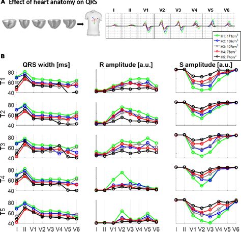 Figure From Mri Based Computational Torso Biventricular Multiscale