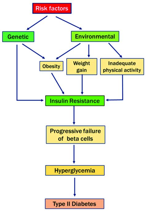 Diabetes Mellitus Pathophysiology Schematic Diagram Diabetes Type Pathophysiology Pathogenesis