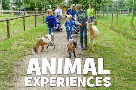 Events Fairfield Animal Centre And Café