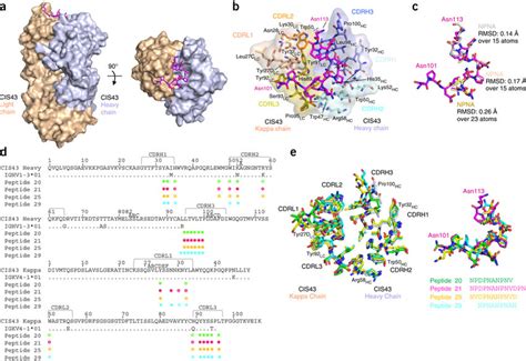 Crystal Structures Of The Cis43 Antigen Binding Fragment In Complex