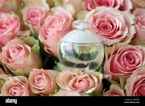 Cacharel perfume commercial hi-res stock photography and images - Alamy