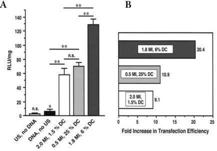 Transcutaneous Ultrasound Augments Naked DNA Transfection Of Skeletal