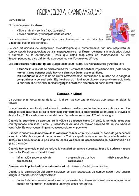 Solution Fisiopatologia Cardiovascular Studypool