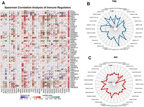 Comprehensive Prognostic And Immunological Analysis Of Cullin2 In Pan