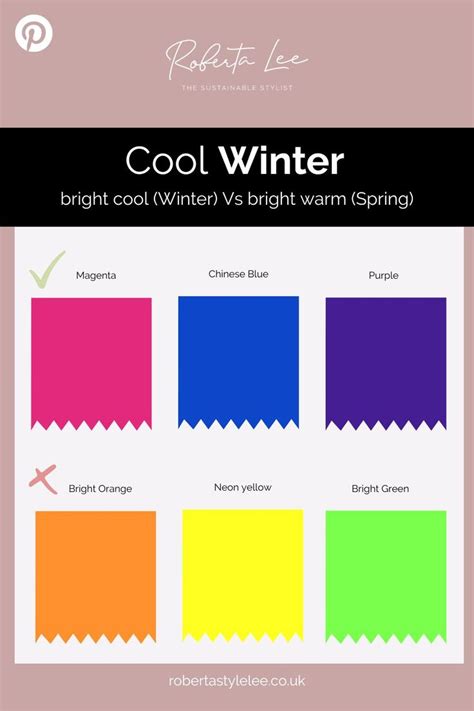 Cool Winter Colour Analysis Guide Roberta Lee The Sustainable