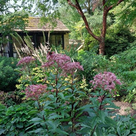 Parcevall Hall Gardens Skipton Ngs Gardens
