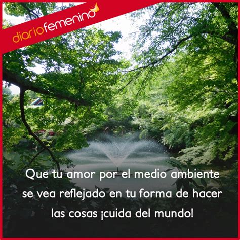 Frases Para El Medio Ambiente