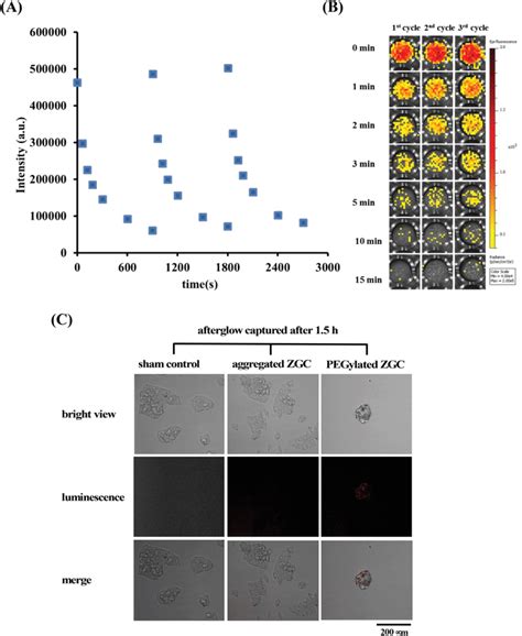 Longlasting Luminescence For Hepatocellular Carcinoma Cells