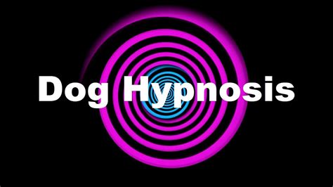 Dog Hypnosis (Requested) - YouTube