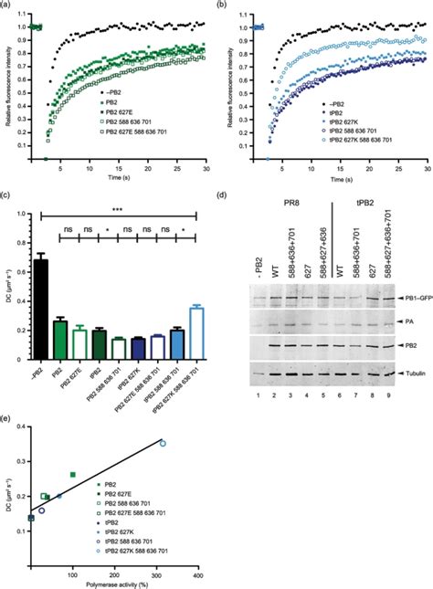 FRAP Analysis Of Combined 627 Domain HR Mutations A B Average FRAP