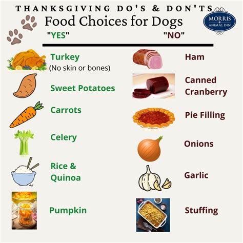 Thanksgiving Foods Whats Safe For Pets Morris Animal Inn