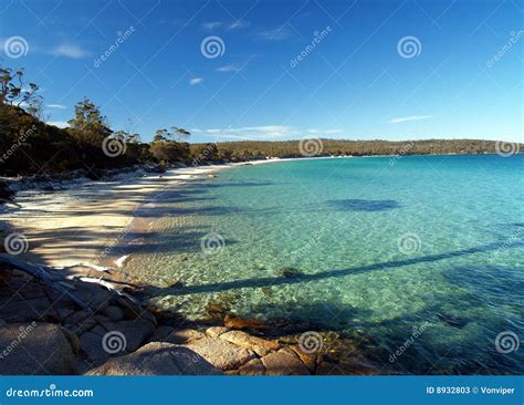 Cooks beach stock image. Image of ocean, tasman, granite - 8932803