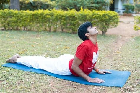 Bhujangasana Cobra Pose Yoga Asana