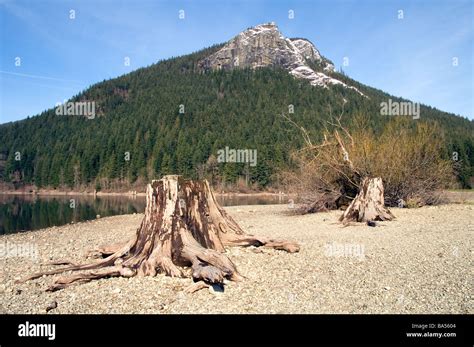 Rattlesnake Mountain Washington Hi Res Stock Photography And Images Alamy