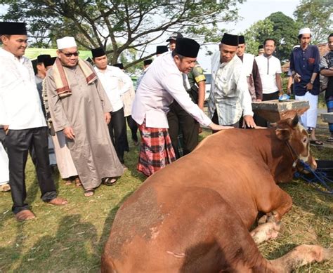 Umat Islam Sambut Aidiladha 29 Jun Ini Bbc Portal