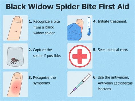Spider bites and pictures help homeowners identify pests 9