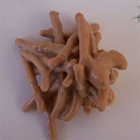 Noodle Cookies