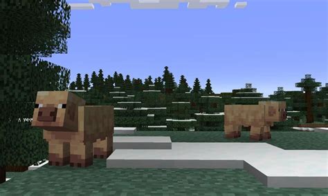 exploring minecraft pig variants  locations