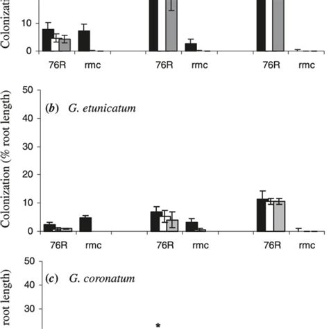 Experiment Percent Of Root Length Colonized In Tomato Wild Type