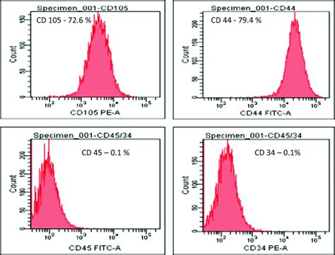 Characterization Of Dental Pulp Stem Cells Download Scientific Diagram