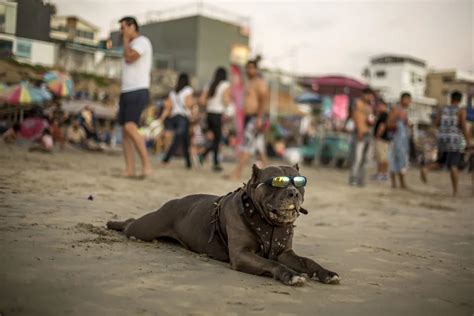 La canícula inició en 26 estados de México pronostican temperaturas de