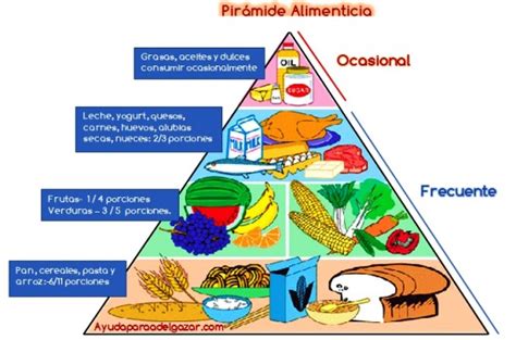 Explora El Origen Pol Tico De La Pir Mide Alimenticia El Sumario