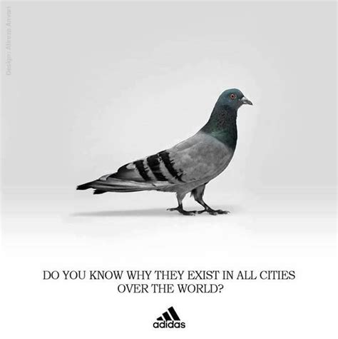 Adv Adidas Clever Advertising Advertising Campaign Ad Design