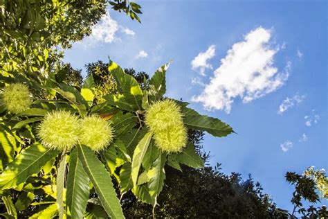 Parques Naturales de Andalucía que enamoran GUÍA 2024 25